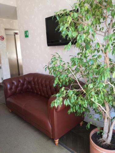Eden Hotel 3*